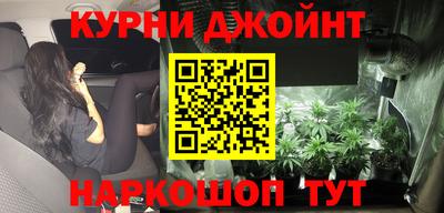 дживик Моздок